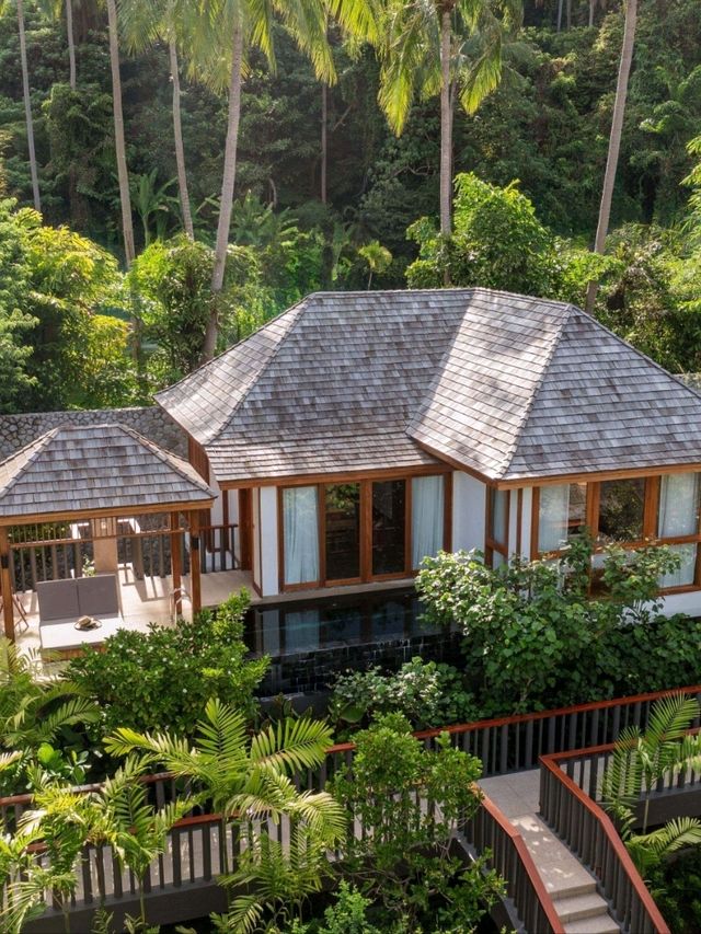 The Surin