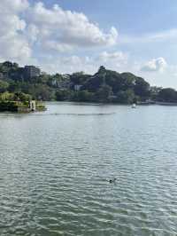 🏞️🇱🇰 Sigiriya + Dambulla Day Trip – Sri Lanka’s Ancient Wonders in One Day