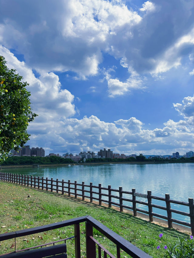 桃園市區也能遇見自然仙境 桃園 1-4 號生態埤塘｜步道、樹蔭、湖景一次滿足的城市秘境