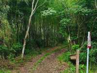 在尖石鄉Tsui Cafe凝望著飄渺山嵐及享受靜謐的午後
