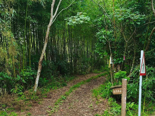 在尖石鄉Tsui Cafe凝望著飄渺山嵐及享受靜謐的午後
