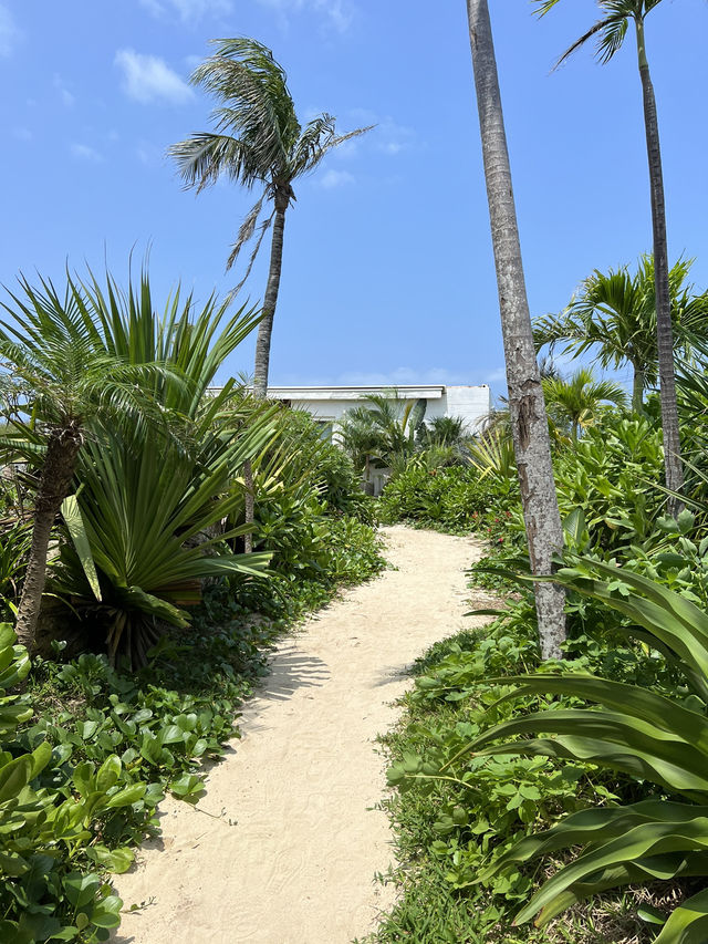 【宮古島カフェ】絶景を楽しめる宮古島のビーチテラスカフェ
