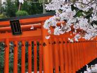 神戶鬧區內的櫻花秘境/生田神社