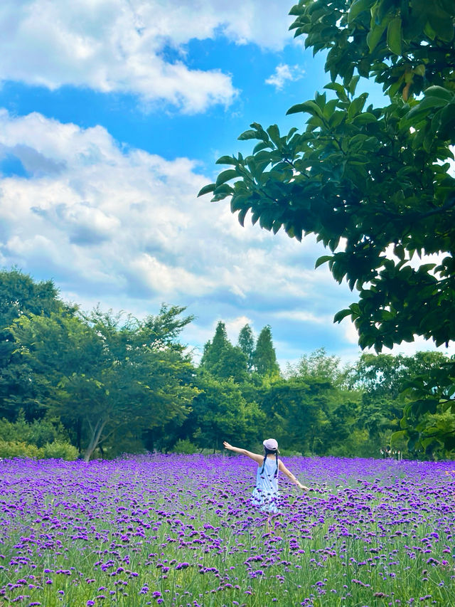 경주에 이런 곳이? 요즘뜨는 천년숲정원💜