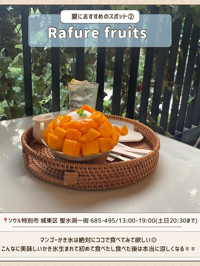 🇰🇷夏渡韓する人必見！夏渡韓攻略ガイド📙🌻