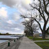 Albert Park Lake