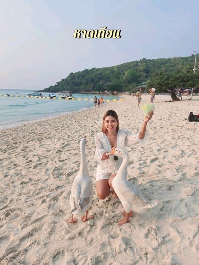 รวมจุดเช็คอินสวย ๆ บนเกาะล้าน