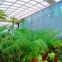 Sky Garden