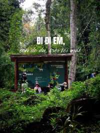 Di Di Em