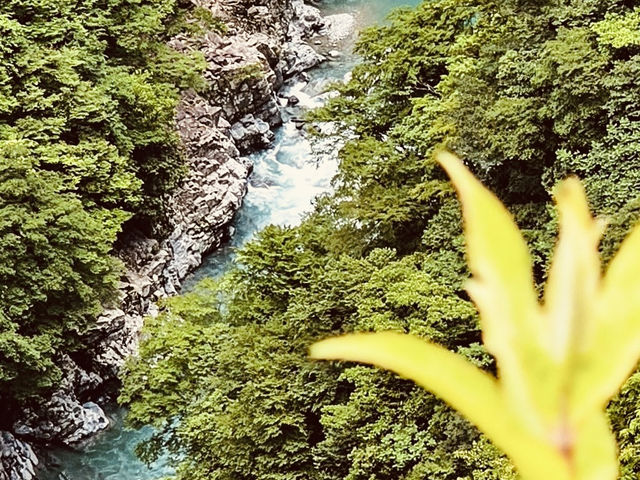 🌿 Solo Adventure: Iya Valley – Japan’s Hidden Mountain Paradise