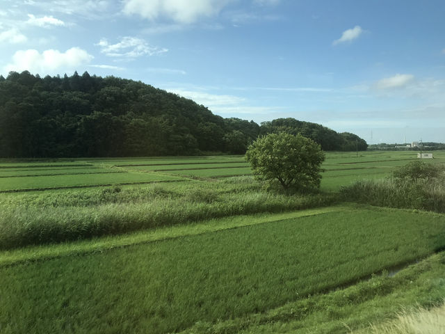 【特急しおさいの現在 2025 】