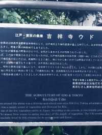 【大人な井の頭公園　東京　吉祥寺　三鷹　井の頭池アラウンドウォーキング】