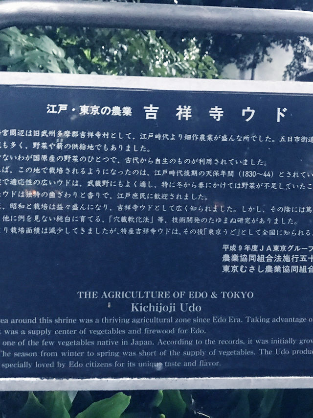 【大人な井の頭公園　東京　吉祥寺　三鷹　井の頭池アラウンドウォーキング】