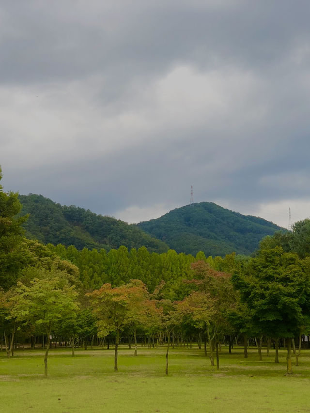 Early autumn on Nami Island