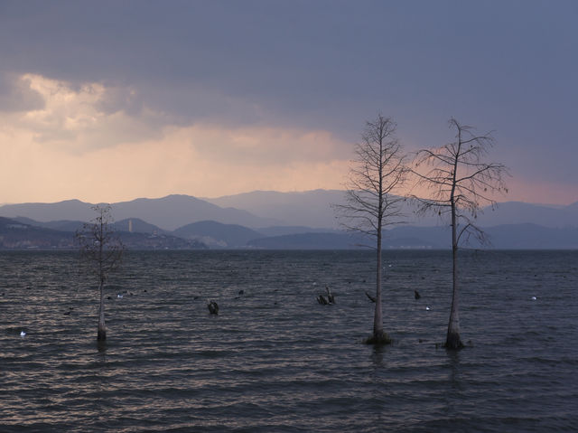 One fine day at Erhai lake in Dali!