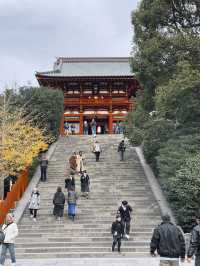 Tsurugaoka Hachimangu ⛩️