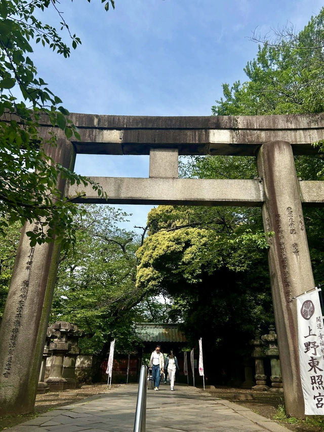 Ueno Park: A Cultural Stroll Through Tokyo’s Green Heart