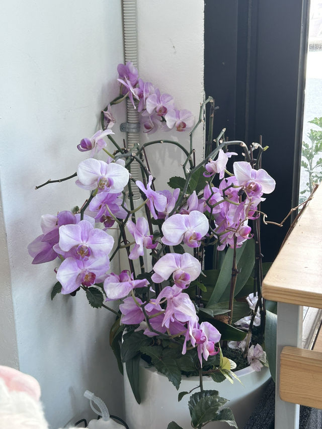 청주, 아늑한 사랑방 분위기, 카페 시월 🍬☕️