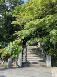 Chofu, Tokyo 1 day trip