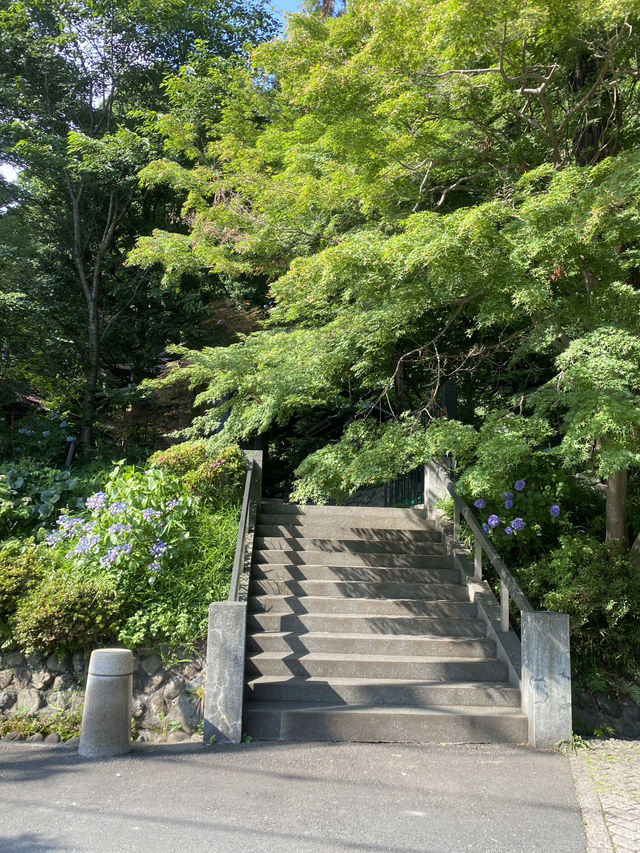 Chofu, Tokyo 1 day trip