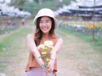 เที่ยวสวนบิ๊กเต้