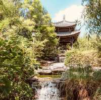 Solo Serenity at Wolhwawon Garden: Seoul’s Secret Chinese Oasis** 🌸🏯  
