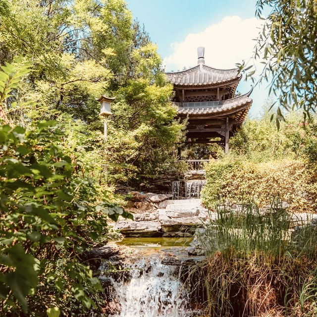 Solo Serenity at Wolhwawon Garden: Seoul’s Secret Chinese Oasis** 🌸🏯  