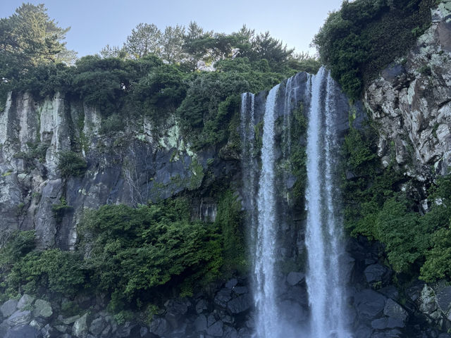 제주도 서귀포 배낭여행