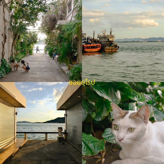 ทริปขับรถเที่ยวใต้ HATYAI – SONGKHLA