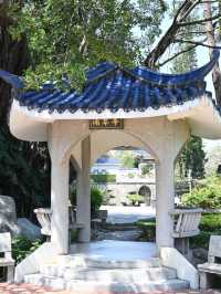Haoyue Garden 🌳 