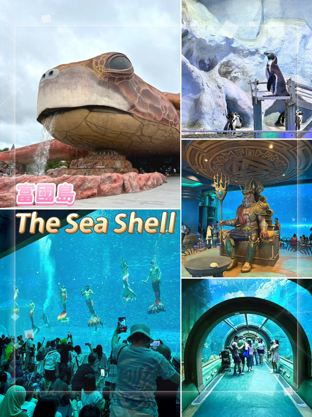 The Sea Shell-越南最大的水族館，吸睛巨型海龜造型