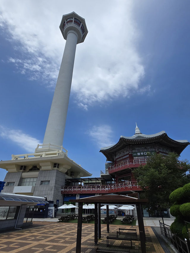 釜山塔一日遊｜從南浦站出發，城市美景盡收眼底