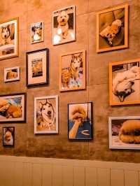 Ah Gwai Cafe Hong Kong