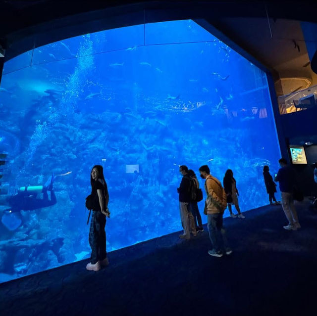Ocean Park HongKong 🦭