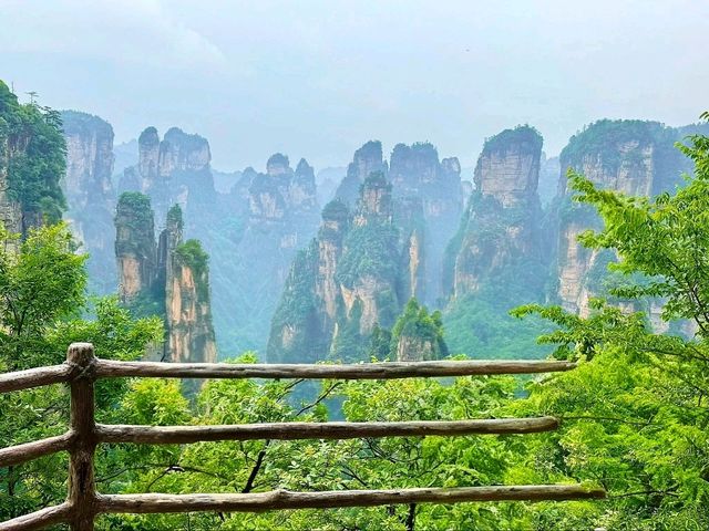 “Pandora on Earth: Zhangjiajie’s Avatar Mountains”