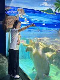 🐬 Fun & Budget-Friendly: Changsha Sea World🪼