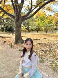 👑 พระราชวังคย็องบกกุง (Gyeongbokgung Palace) – มน