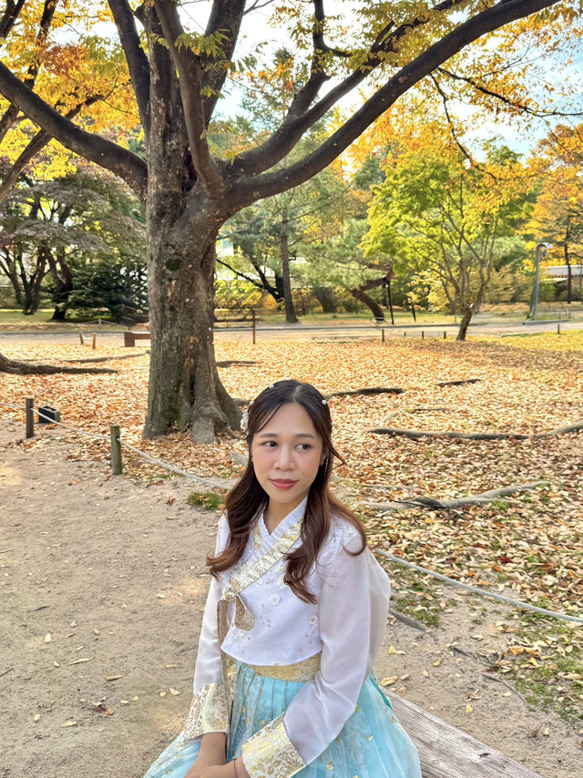 👑 พระราชวังคย็องบกกุง (Gyeongbokgung Palace) – มน