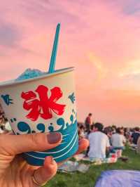 【新潟🇯🇵】日本三大花火を楽しもう🎆