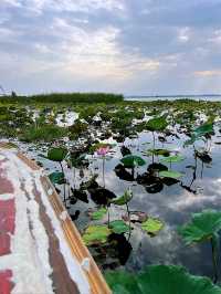 มาล่องเรือชมความงามของบึงหนองหานกันไหม