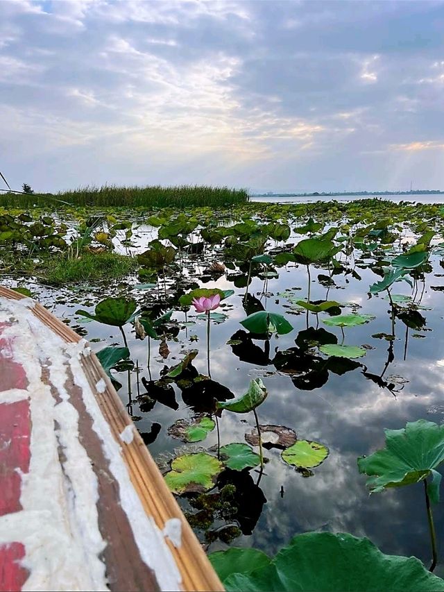 มาล่องเรือชมความงามของบึงหนองหานกันไหม