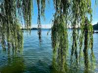 West Lake Walks 