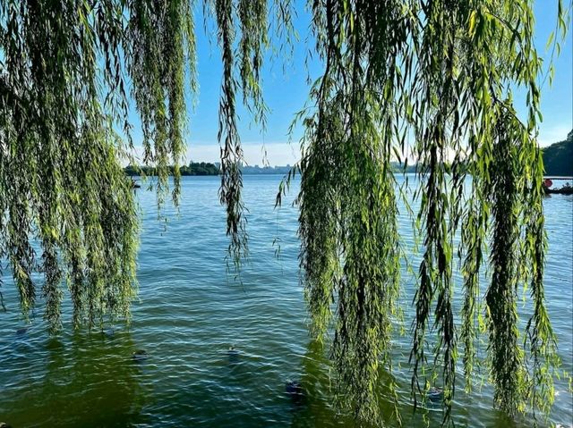 West Lake Walks 
