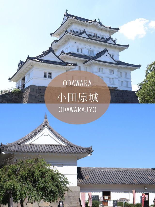 【小田原】都心からアクセス⭕️夏休みにもぴったり！気ままな観光🌻