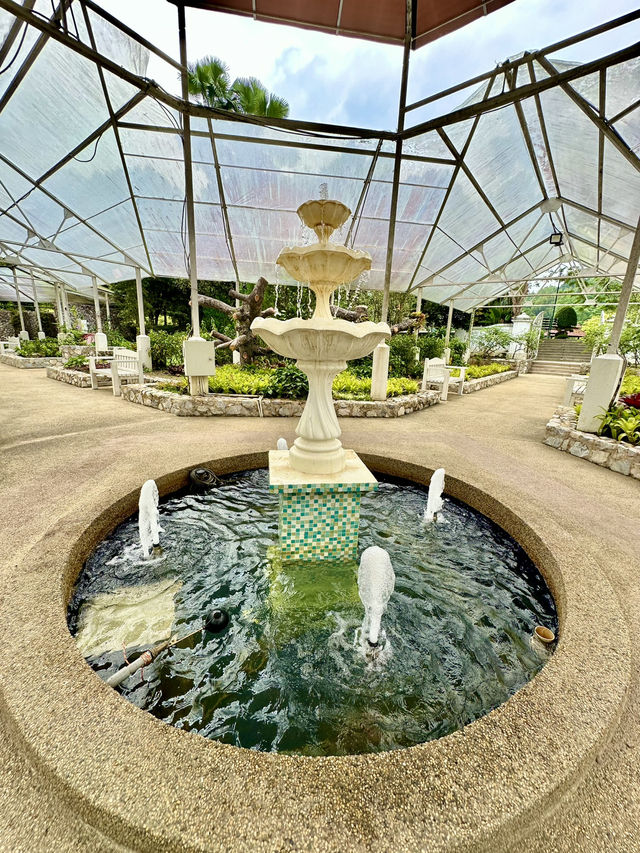 🌿 Herb & Spice Garden – A Fragrant Stroll Through Nature’s Pharmacy