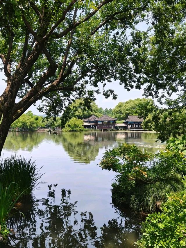 Where Koi Paint the Water – West Lake’s Living Silkscape