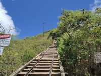 Brutal but Worth It! Conquering the Koko Head "Stairs of Doom" for Epic Views.