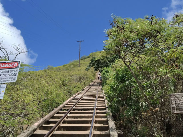 Brutal but Worth It! Conquering the Koko Head "Stairs of Doom" for Epic Views.