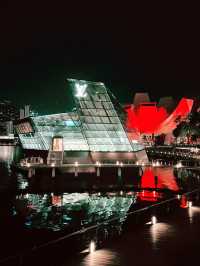 Majestic Nights at Marina Bay Sands: A Symphony of Light and Skyline 