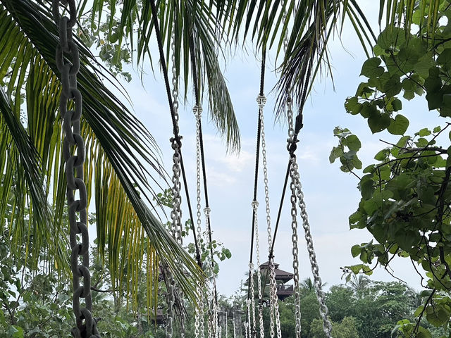 Nature – Beaches – Culture – Night Views ✨ No shopping – Includes tropical forest hikes, beaches, Li